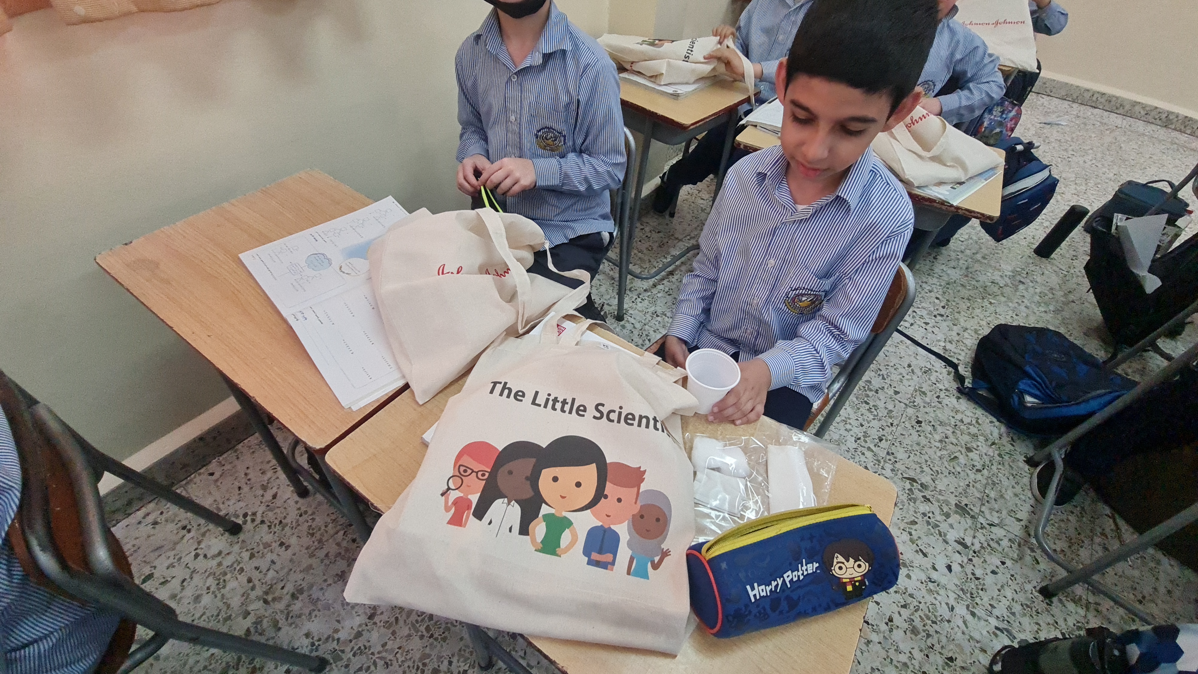 The Little Scientist