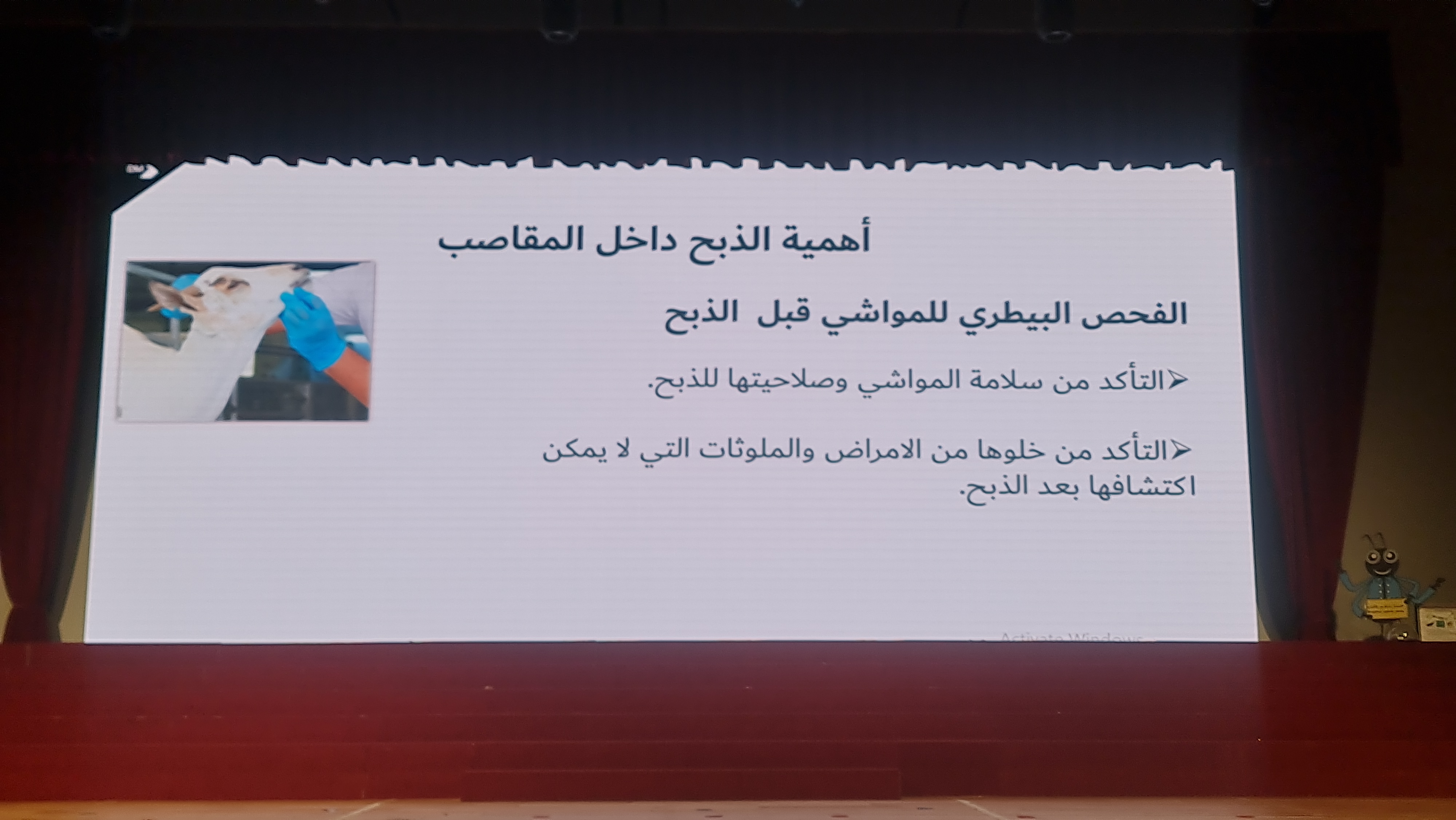 فعالية عالم الحيوانات