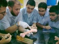  نشاط علمي
